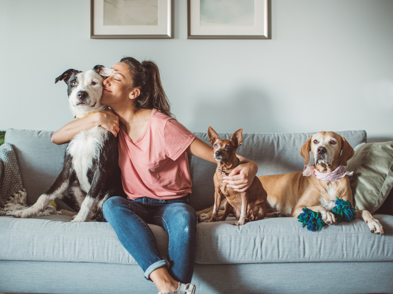 Perche-valutare-unassicurazione-per-gli-animali-domestici